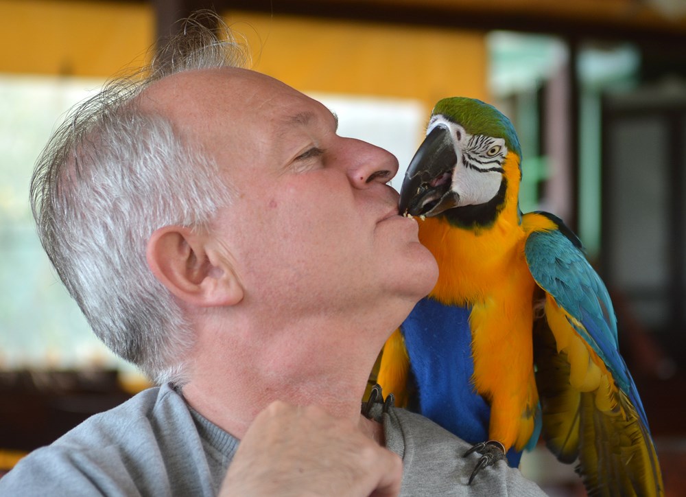 Papiga donosi svom vlasniku mnoge trenutke veselja (Danilo MEMEDOVIĆ)